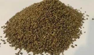 Партия семян петрушки из Италии задержана на Кубани из-за опасной бактерии