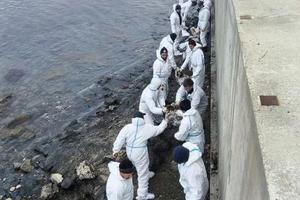 В трех населенных пунктах Туапсинского района завершен сбор мазута
