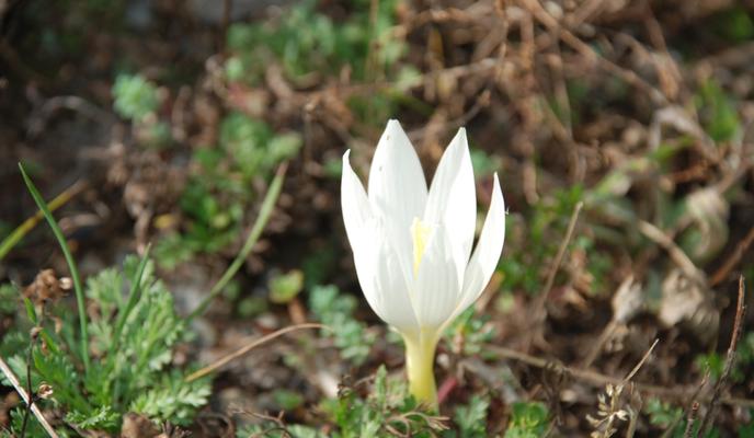 Bitrix 140081: tl962n7u1e1t6fdnpxc5eq7xpifaijua.jpg