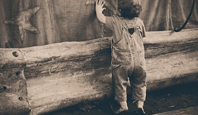 Bitrix 94380: toddler_238466_1280.jpg