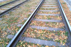 Bitrix 147204: tramvaynye-relsy3.jpg