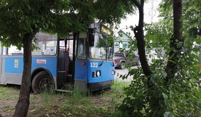 Bitrix 118030: trolleybus.jpg