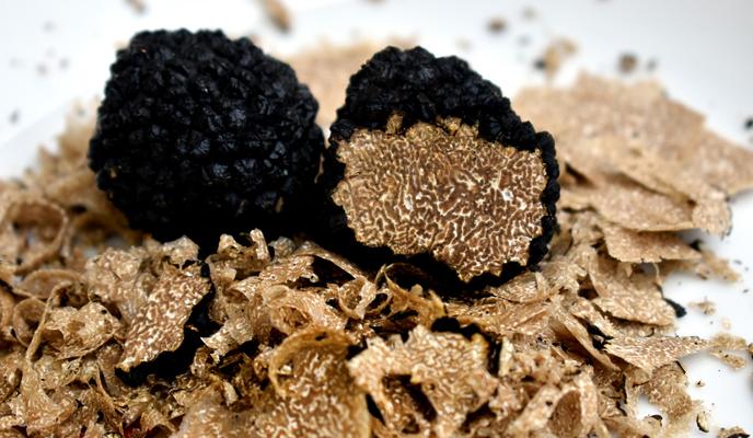 Bitrix 112512: truffles_g8a49f0b76_1920.jpg