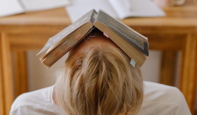 Bitrix 107275: tt382l98ddhukcfq8f27v44x2x5pm13u-_1_.jpg