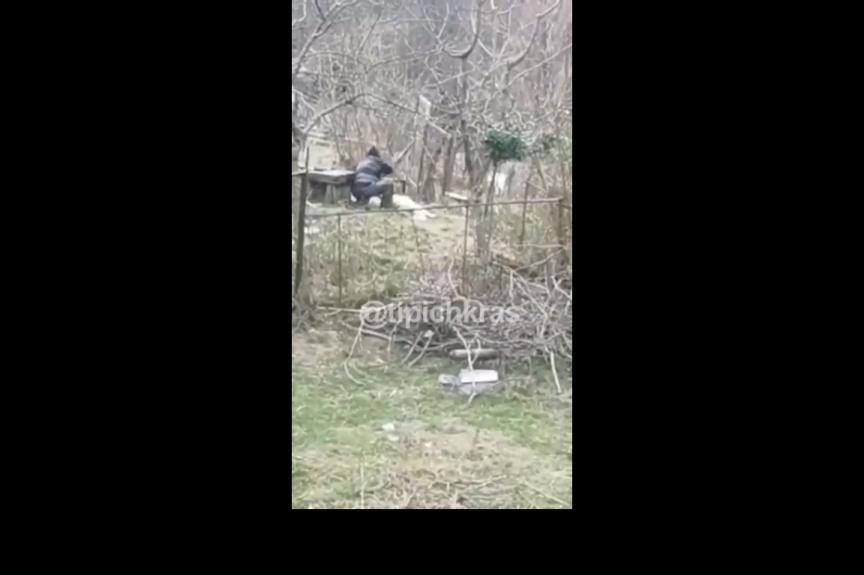 Bitrix 115903: ubil-sobaku.jpg