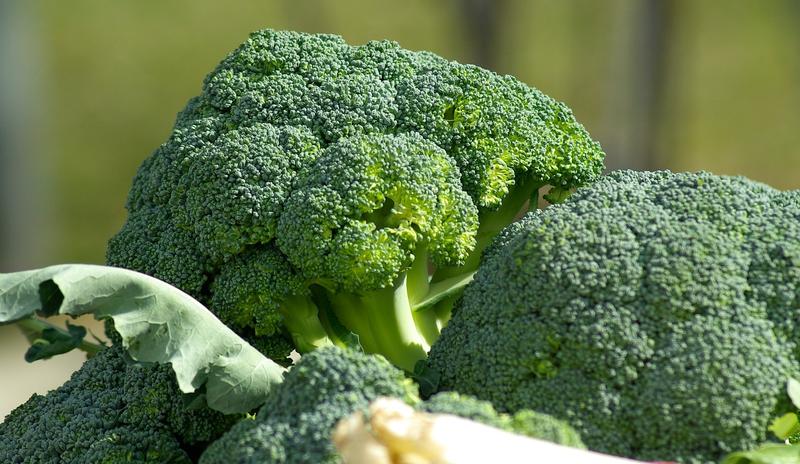 Bitrix 107625: vegetables_g45d871b09_1280.jpg