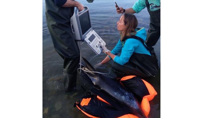 Bitrix 118602: vpXr127uBjR88BenXwy2Cf5z762LSp2BFi8FE_TGLPNqQIfr0NJdPLtUa1leL21Nx5vWkYAFAWPNRIUTd5OudpNP.jpg