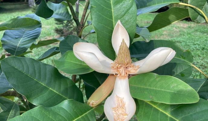 Bitrix 106938: whatsapp_image_2021_11_03_at_14.57.15.jpeg