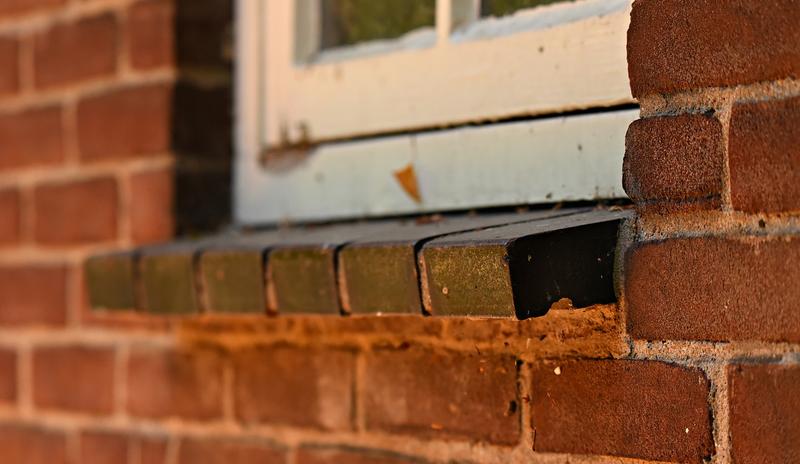 Bitrix 98680: windowsill_3602243_1280.jpg