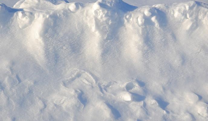 Bitrix 112025: winter_g118c9d943_1280.jpg