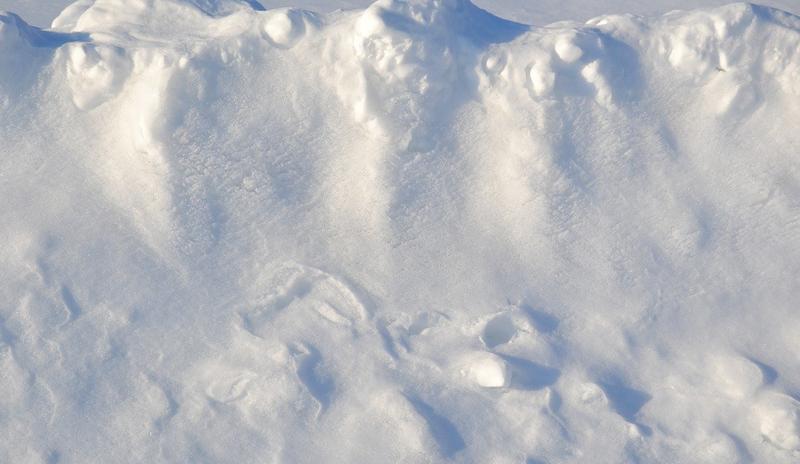 Bitrix 112025: winter_g118c9d943_1280.jpg