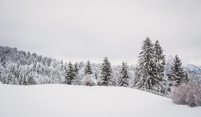 Bitrix 111729: winter_gda9aed446_1920.jpg