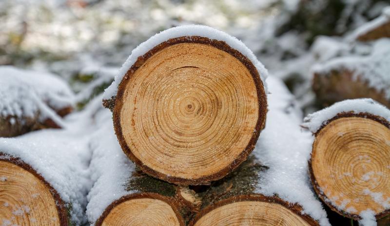 Bitrix 91409: wood_3163292_1280.jpg