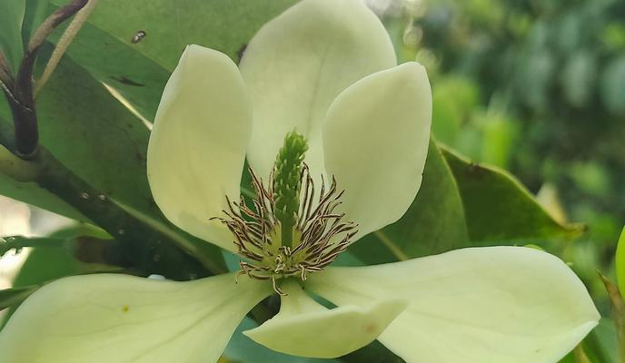 Bitrix 149496: x1ZS_V61DZU.jpg