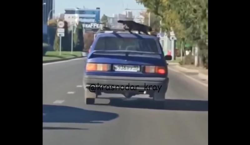 Bitrix 106300: xxVtUR3ZWRo.jpg
