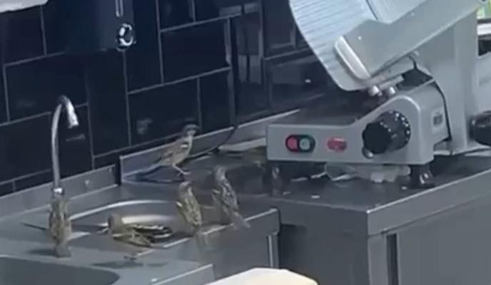 Bitrix 114627: yyPK_Ek5KCg.jpg