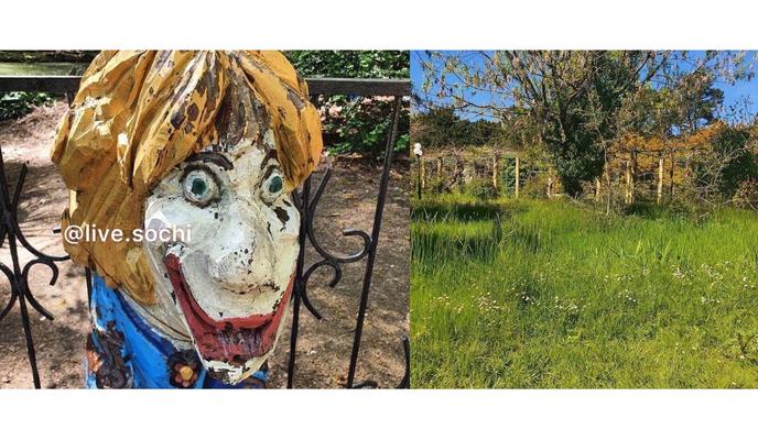 Bitrix 95751: z_M9wp7Ad_0.jpg