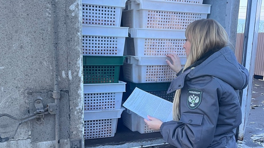 8,6 тонн опасных колбас, рыбы и осетинского сыра задержали на посту ДПС на Кубани