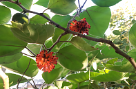 В Сочи туристам ограничили доступ к маршруту, ведущему к озеру Кардывач