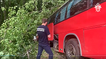 СК возбудил уголовное дело после ДТП с перевозившим студентов КубГУ автобусом в Краснодарском крае