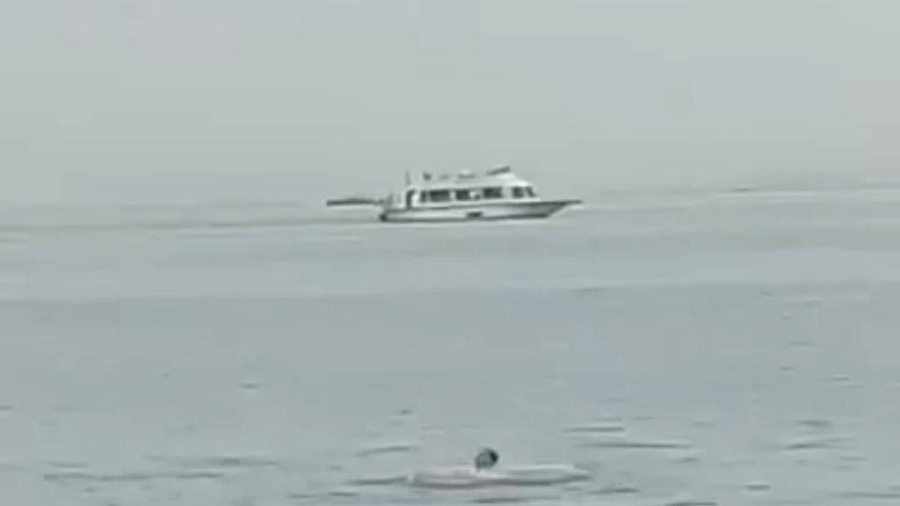 У побережья Хургады акула убила россиянина на глазах у отдыхающих