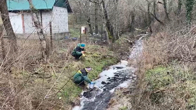 В Новороссийске Росприроднадзор обнаружил ядовитые вещества в реке Озерейке