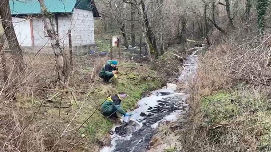 В Новороссийске Росприроднадзор обнаружил ядовитые вещества в реке Озерейке