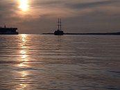 Аномальная жара в 2025 году усиливает прогрев морской воды на Кубани