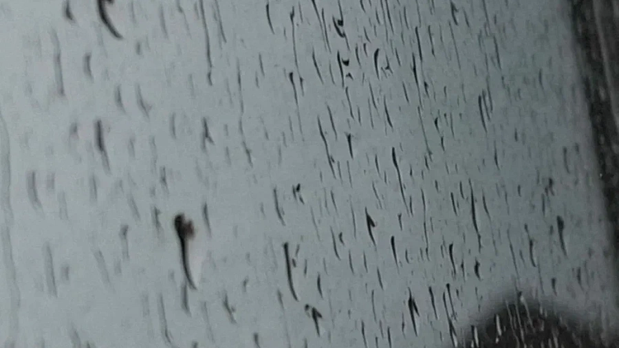 Ветер 32 м/с и ливни накроют Кубань с 18 февраля