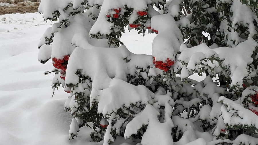 Сильный снегопад ожидается в Краснодаре 16 января