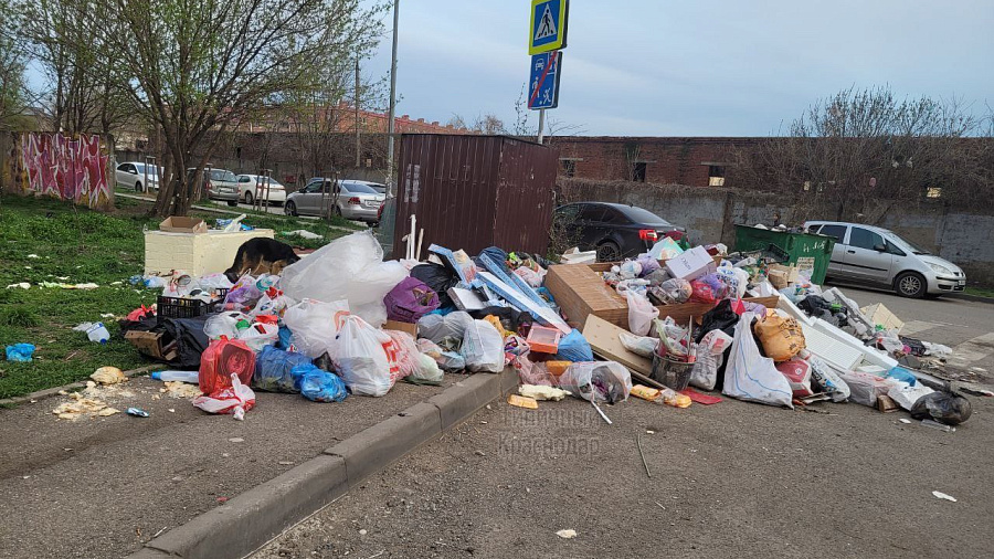 Крысы, бомжи и псины: жители Краснодара пожаловались на гигантскую свалку на улице Кореновской