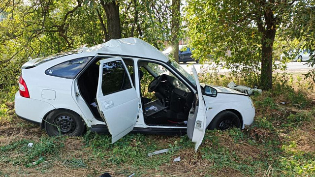 В Кущевском районе молодой человек на машине врезался в дерево и погиб 
