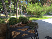 На Кубани произошло огненное ДТП с четырьмя погибшими