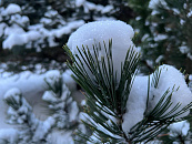 Кубанский миллиардер Дерипаска возглавил федерацию хоккея с мячом