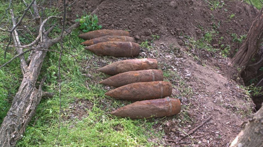  В Гулькевичском районе местный житель обнаружил в лесу более 10 боеприпасов времен ВОВ