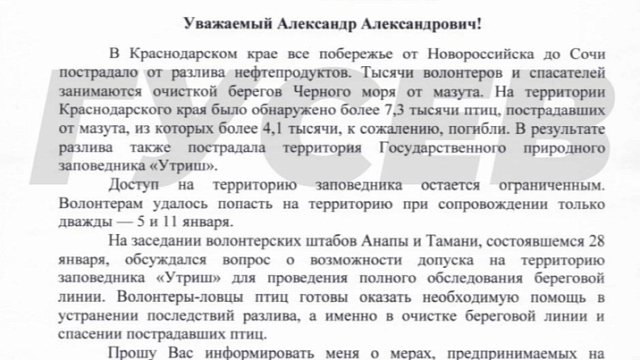Руководство заповедника «Утриш» не пускает на природоохранную территорию волонтеров, желающих помочь в уборке мазута