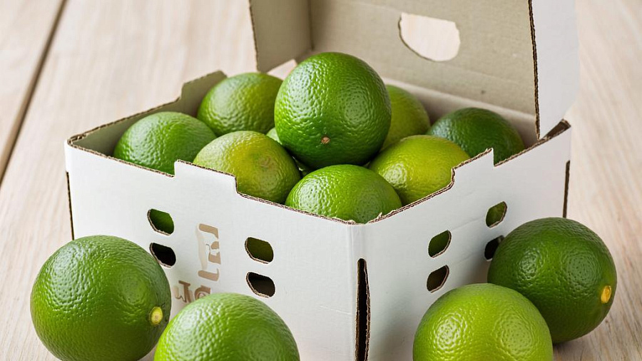 Лаймы вместо лимонов: в Новороссийске таможней задержана крупная партия цитрусов из Египта на 4,4 миллиона