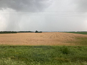 Агрокомплекс Ткачева выкупил агрохолдинг «Приосколье»