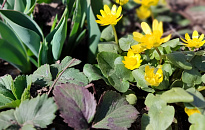 Потепление до +22 градусов ждет жителей Кубани к концу рабочей недели