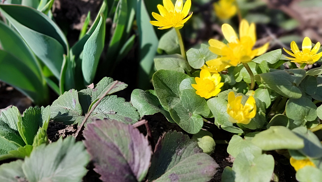 Потепление до +22 градусов ждет жителей Кубани к концу рабочей недели