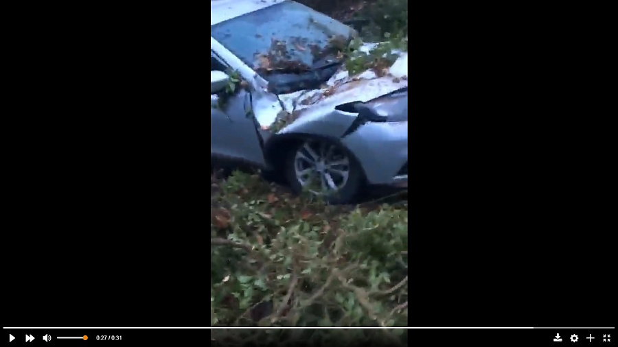 Видео: в Сочи огромное дерево рухнуло прямо на автомобиль 