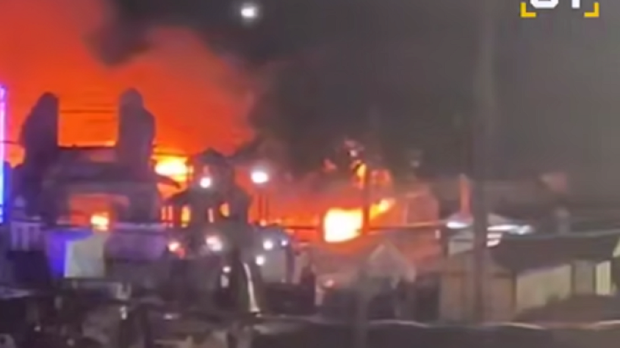 В Ейске почти три десятка крокодилов погибло при пожаре в зоопарке
