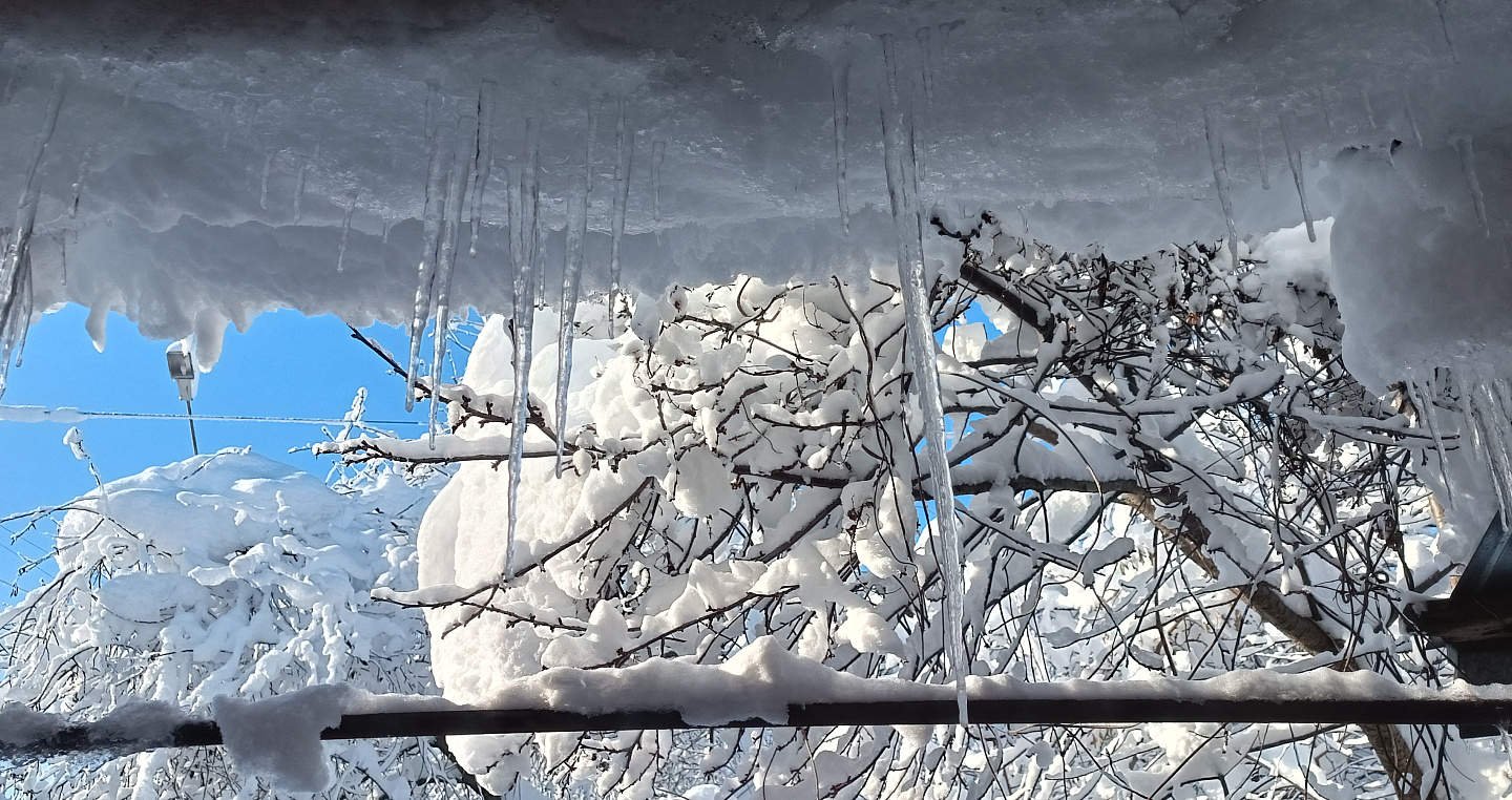 По Краснодару ударили сильнейшие за эту зиму морозы 