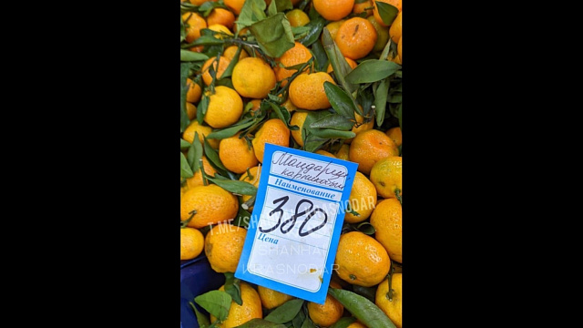 В Краснодаре «золотые» мандарины за 380 рублей за кг шокировали пользователей Сети