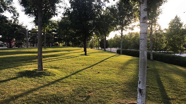 В начале недели в Краснодаре и крае ожидаются «температурные качели» и порывистый ветер до 22 м/с