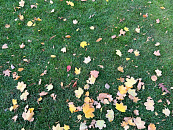 Рев дронов и вой сирен: как жители Кубани пережили атаку БПЛА 25 ноября