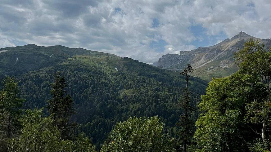 В Гузерипле, а также горных курортах Адыгеи и Кубани в среду погода принесет повсеместные дожди и потепление до +33°С