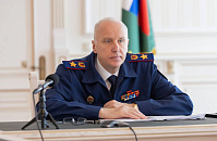 Бастрыкин поручил возбудить дело по бездействию при отлове собак в Туапсе