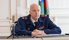 Бастрыкин поручил возбудить дело по бездействию при отлове собак в Туапсе