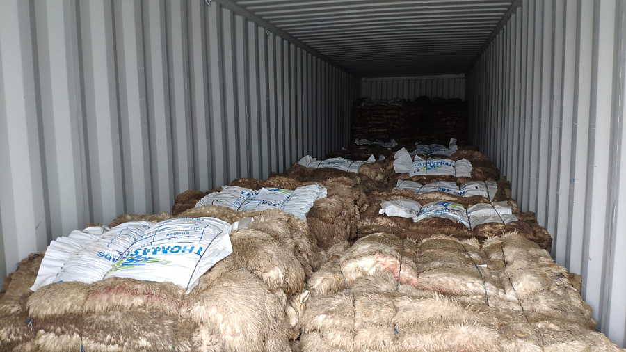 В порту Новороссийска забраковали 15,6 тысяч овечьих шкур из Австралии